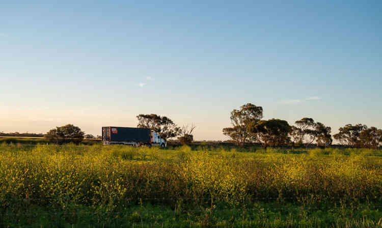 SCF 40Ft Pallet Wide Truck Full Width