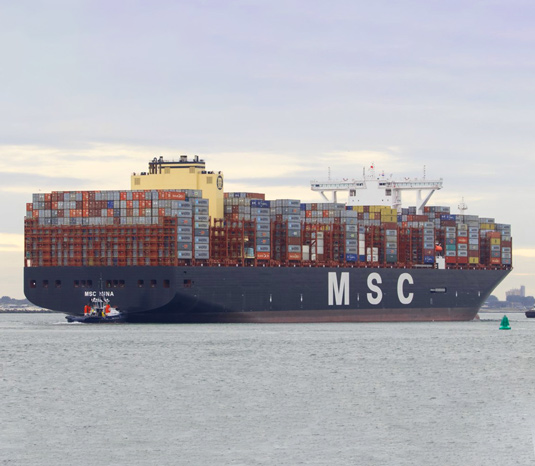 MSC Mina. Source: Julie Richter.